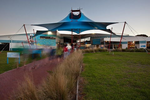 Express Expedition To Phillip Island Penguin Wildlife Encounter Evening Tour - Surfers Gold Coast 1