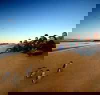 Phillip Island Ultimate Penguin Eco Tour or Skybox Experience - Surfers Gold Coast