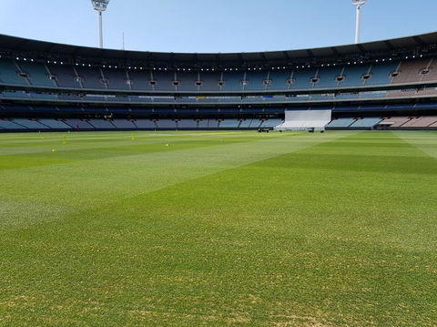 Melbourne Cricket Ground (MCG) Tour - Surfers Gold Coast 5
