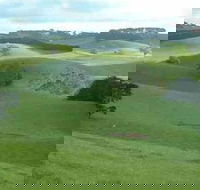 Day Tour of Phillip Island  Surrounding Region - Surfers Gold Coast