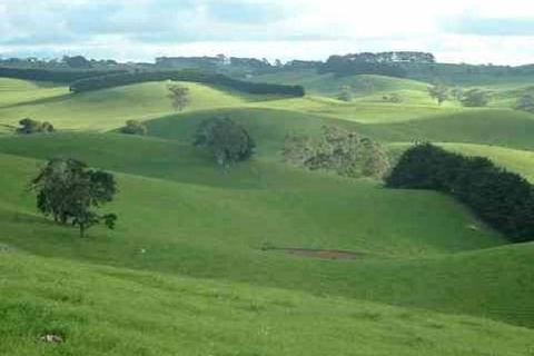 Day Tour Of Phillip Island & Surrounding Region - Surfers Gold Coast 0