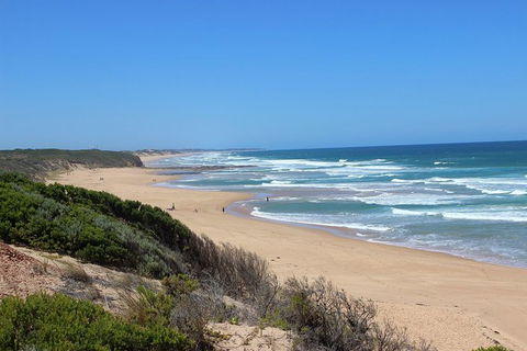 Day Tour Of Phillip Island & Surrounding Region - Surfers Gold Coast 1