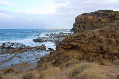 Day Tour Of Phillip Island & Surrounding Region - Surfers Gold Coast 11