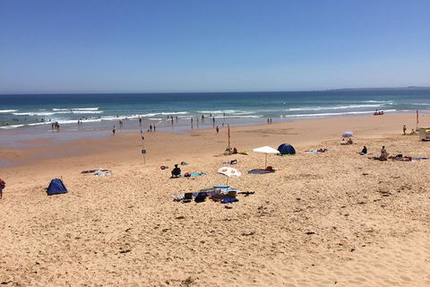 Day Tour Of Phillip Island & Surrounding Region - Surfers Gold Coast 7