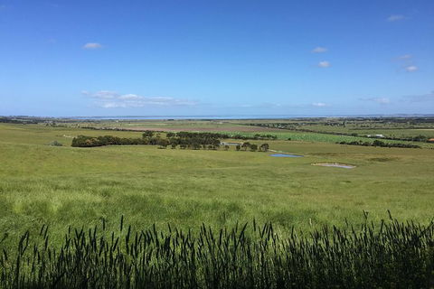 Day Tour Of Phillip Island & Surrounding Region - Surfers Gold Coast 4