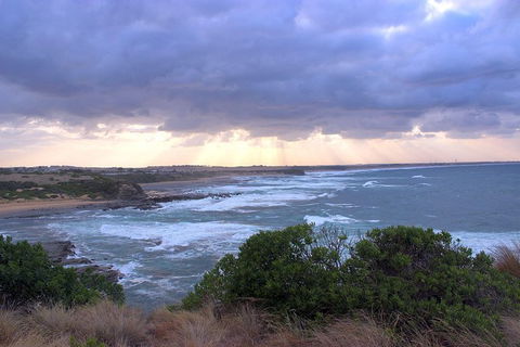 Day Tour Of Phillip Island & Surrounding Region - Surfers Gold Coast 12