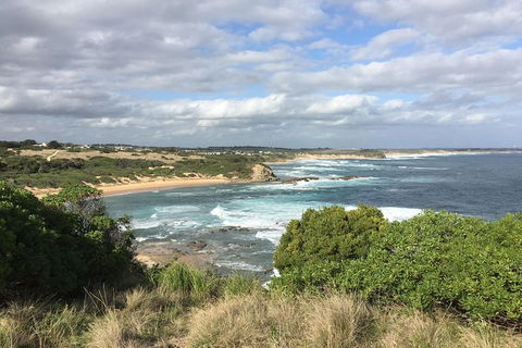 Day Tour Of Phillip Island & Surrounding Region - Surfers Gold Coast 10