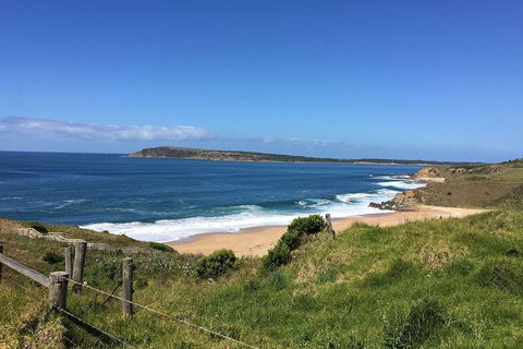 Day Tour Of Phillip Island & Surrounding Region - Surfers Gold Coast 5