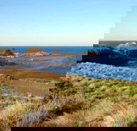 Phillip Island Walking  Bird Watching Tour - Surfers Gold Coast