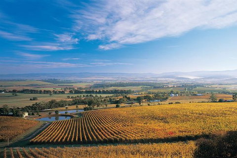 Half Day Yarra Valley Winery Day Trip From Melbourne - Surfers Gold Coast 2