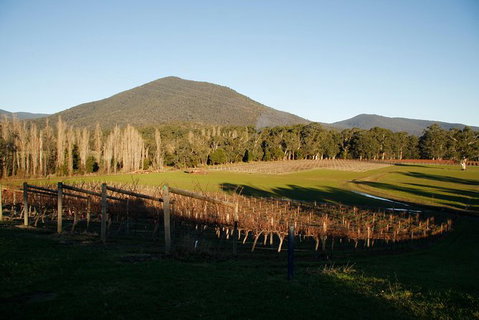 Half Day Yarra Valley Winery Day Trip From Melbourne - Surfers Gold Coast 6