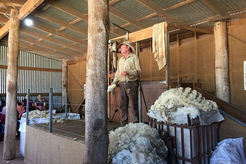 Day Tour Of Phillip Island Nature Parks & Penguins - Surfers Gold Coast 5