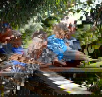 Phillip Island 3 Park Pass Penguin Parade Koala Conservation Centre and Penguin Parade Koala ConservationHeritage Farm - Surfers Gold Coast