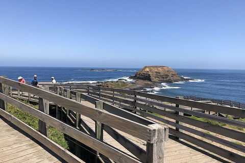 Day Tour Of Phillip Island, The Surrounding Region And Wine Tasting - Surfers Gold Coast 14