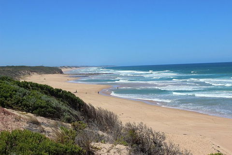 Day Tour Of Phillip Island, The Surrounding Region And Wine Tasting - Surfers Gold Coast 5