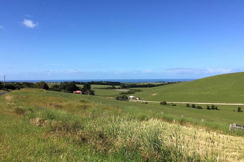 Day Tour Of Phillip Island, The Surrounding Region And Wine Tasting - Surfers Gold Coast 6