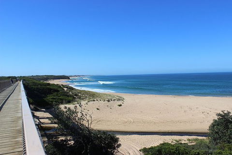 Day Tour Of Phillip Island, The Surrounding Region And Wine Tasting - Surfers Gold Coast 4