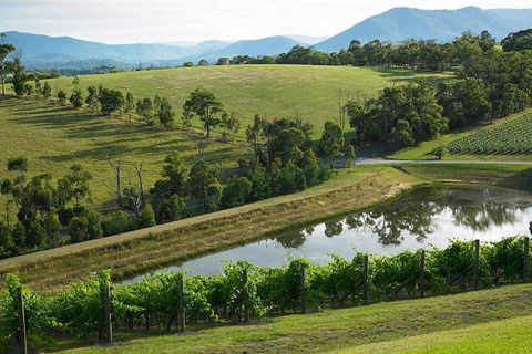 CHEVY CONVERTIBLE Package For 2 People- Wine Lunch Cheese & Chocolate From Melb. - Surfers Gold Coast 9