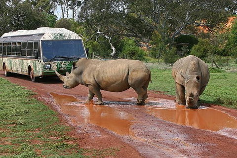 Melbourne Attractions Pass Including Melbourne Zoo, Hop-on Hop-off Bus And SEA LIFE Aquarium - Surfers Gold Coast 13