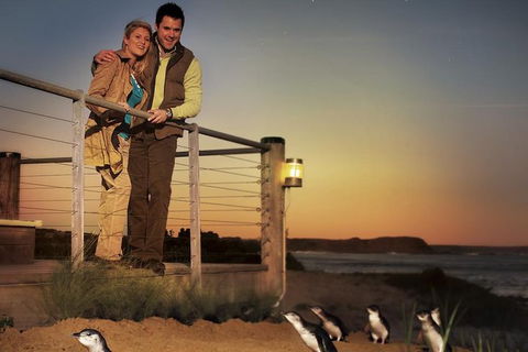 Melbourne Attractions Pass Including Melbourne Zoo, Hop-on Hop-off Bus And SEA LIFE Aquarium - Surfers Gold Coast 10