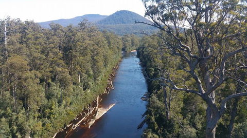 Small-group DayTour From Hobart: Hastings Caves, Huon Valley And Tahune AirWalk - Surfers Gold Coast 3