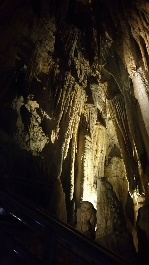 Small-group DayTour From Hobart: Hastings Caves, Huon Valley And Tahune AirWalk - Surfers Gold Coast 5