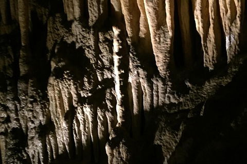 Small-group DayTour From Hobart: Hastings Caves, Huon Valley And Tahune AirWalk - Surfers Gold Coast 1