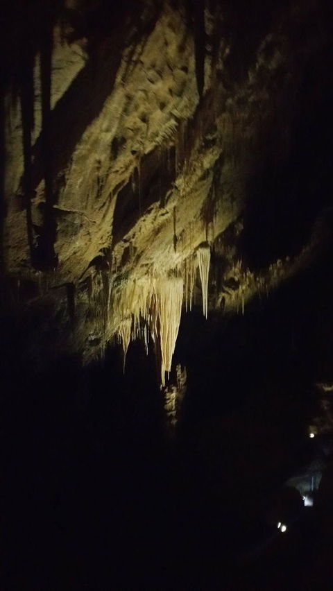 Small-group DayTour From Hobart: Hastings Caves, Huon Valley And Tahune AirWalk - Surfers Gold Coast 7