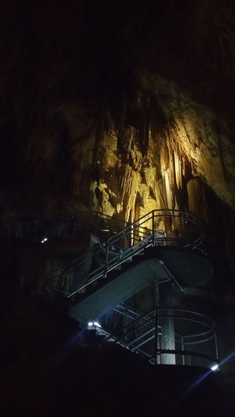 Small-group DayTour From Hobart: Hastings Caves, Huon Valley And Tahune AirWalk - Surfers Gold Coast 4