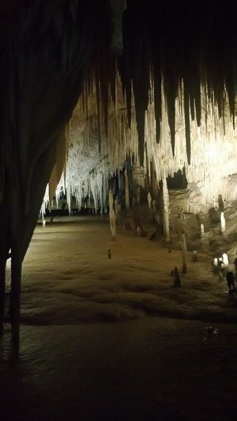 Small-group DayTour From Hobart: Hastings Caves, Huon Valley And Tahune AirWalk - Surfers Gold Coast 8