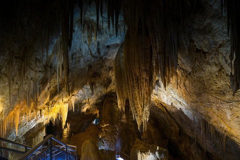 Small-group DayTour From Hobart: Hastings Caves, Huon Valley And Tahune AirWalk - Surfers Gold Coast 19