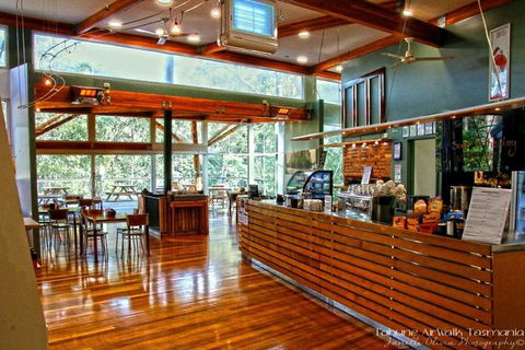 Small-group DayTour From Hobart: Hastings Caves, Huon Valley And Tahune AirWalk - Surfers Gold Coast 15