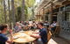 Small-group DayTour From Hobart: Hastings Caves, Huon Valley And Tahune AirWalk - thumb 16