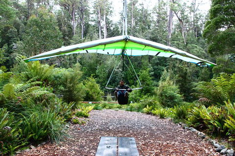 Small-group DayTour From Hobart: Hastings Caves, Huon Valley And Tahune AirWalk - Surfers Gold Coast 10