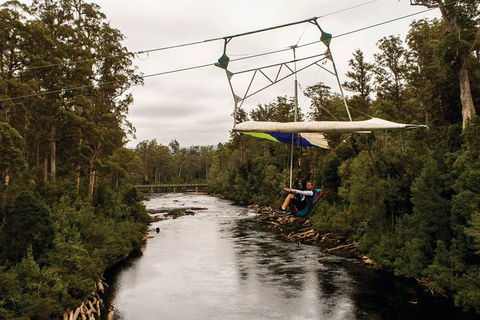 Small-group DayTour From Hobart: Hastings Caves, Huon Valley And Tahune AirWalk - Surfers Gold Coast 14