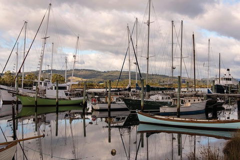 Small-group DayTour From Hobart: Hastings Caves, Huon Valley And Tahune AirWalk - Surfers Gold Coast 13