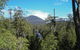 Small-group DayTour From Hobart: Hastings Caves, Huon Valley And Tahune AirWalk - thumb 9