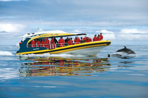 3-Hour Tasman Peninsula Wilderness Cruise From Port Arthur - Surfers Gold Coast 5