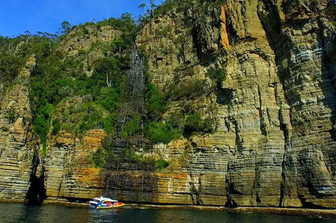 3-Hour Tasman Peninsula Wilderness Cruise From Port Arthur - Surfers Gold Coast 7