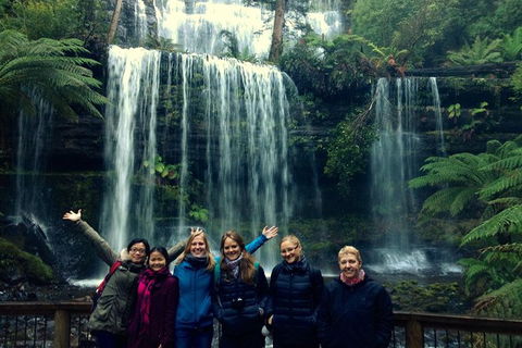 Mt Field National Park Active Day-Trip Including Bonorong And Mt Wellington - Surfers Gold Coast 1