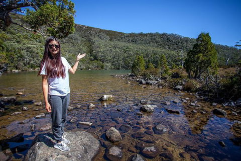 Mt Field National Park Active Day-Trip Including Bonorong And Mt Wellington - Surfers Gold Coast 12