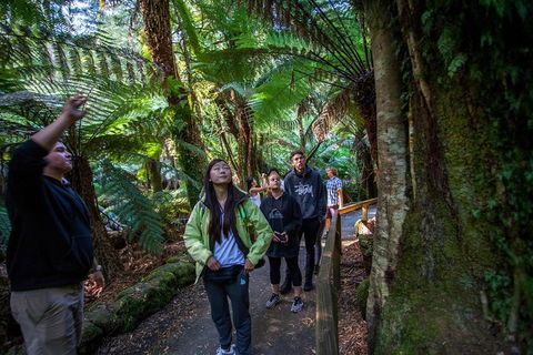 Mt Field National Park Active Day-Trip Including Bonorong And Mt Wellington - Surfers Gold Coast 5