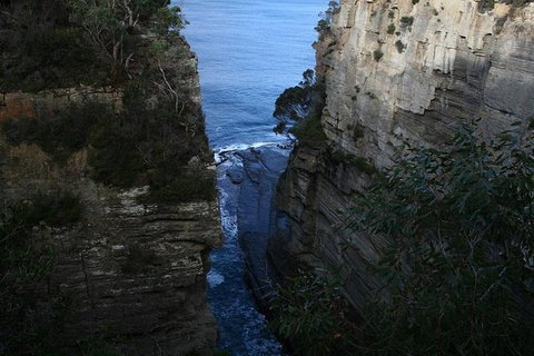 Cruise Ship Special From Port Arthur: Explore Tasman Peninsula With Free WiFi - Surfers Gold Coast 1