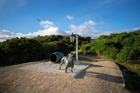 Cruise Ship Special From Port Arthur: Explore Tasman Peninsula With Free WiFi - Surfers Gold Coast 9