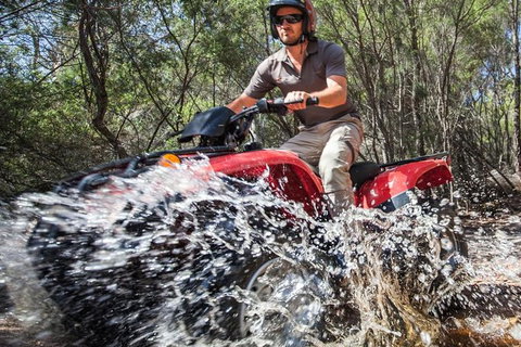 Half-Day Guided ATV Exploration Tour From Coles Bay - Surfers Gold Coast 1