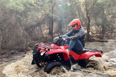 Half-Day Guided ATV Exploration Tour From Coles Bay - Surfers Gold Coast 7