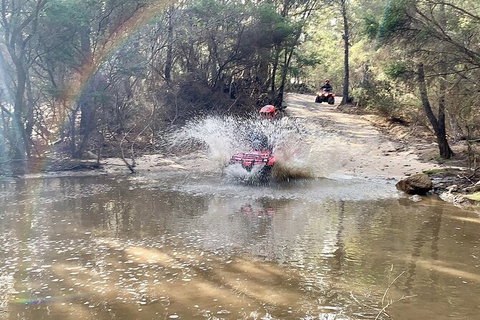 Half-Day Guided ATV Exploration Tour From Coles Bay - Surfers Gold Coast 3