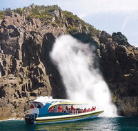 Full-Day Bruny Island Tour from Hobart - Surfers Gold Coast