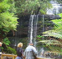 Mt Field National Park and Russell Falls from Hobart - Surfers Gold Coast