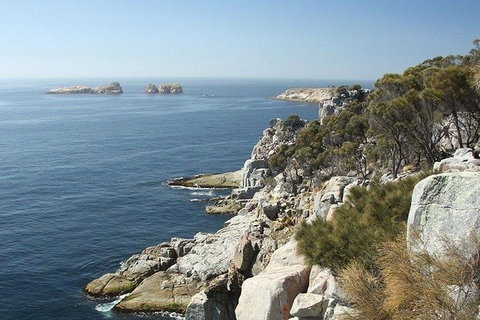 Great Walks Of Australia: 4-Day Freycinet Experience Walk - Surfers Gold Coast 10